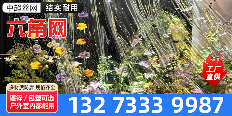 伊犁哈萨克自治州六角网软边网 - 哪里好